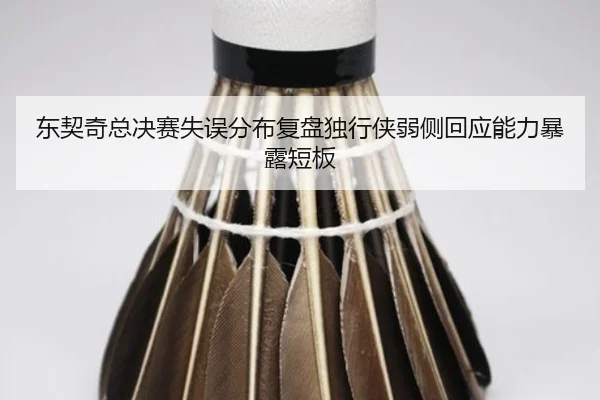 东契奇总决赛失误分布复盘独行侠弱侧回应能力暴露短板